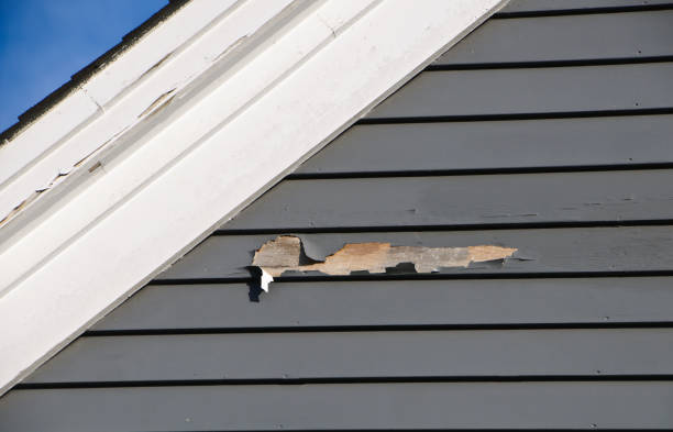 Best Siding Painting and Refinishing  in Reedley, CA